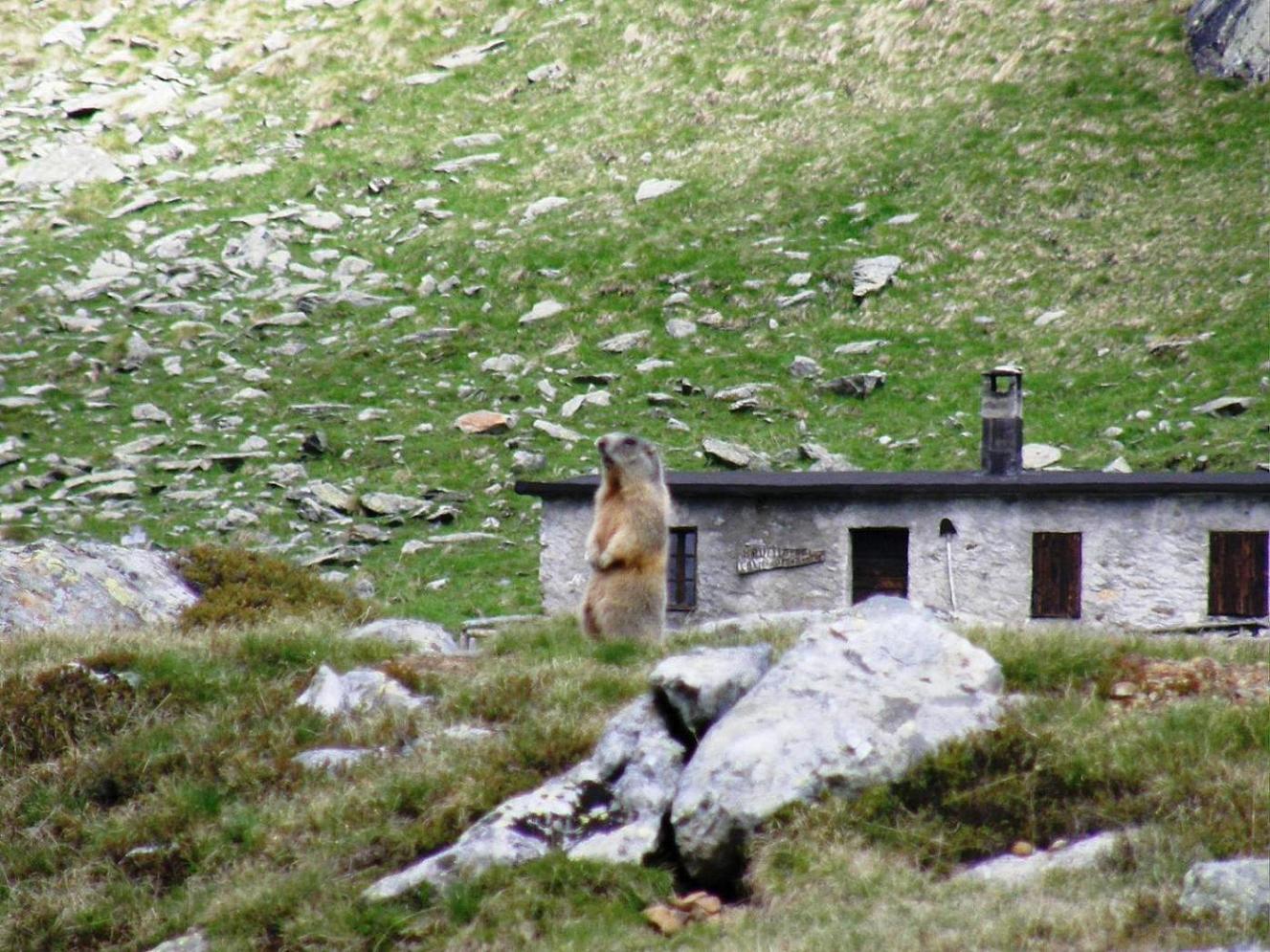 Rifugi e Bivacchi d''Italia.......